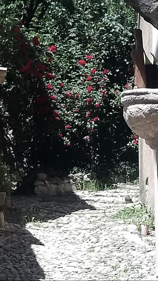 Le Pontin Villa Mane  Bagian luar foto